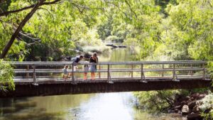 The Margaret River. Picture: Warren Hately