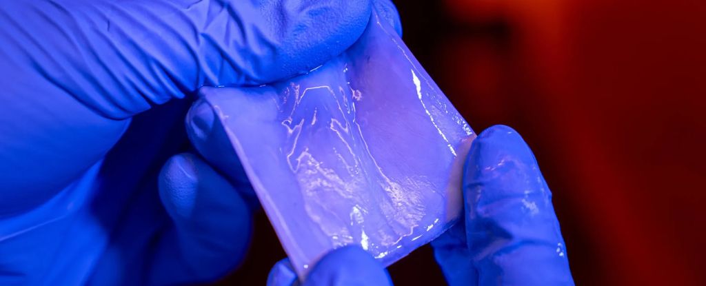 researchers-develop-innovative-bioplastic-to-replace-traditional-plastics