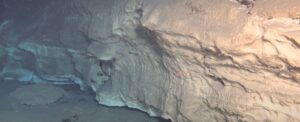 researchers-unveil-vast-undersea-metropolis-in-pacific-ocean