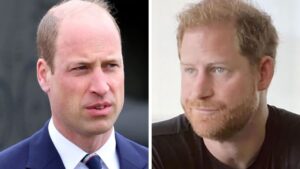 reunion-on-the-horizon-william-and-harry-may-co-serve-as-godfathers