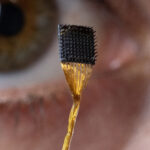 scientists-develop-bci-to-decode-thoughts-into-speech-with-74-accuracy