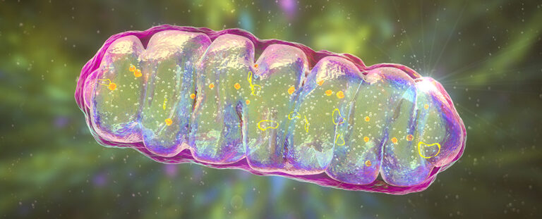 scientists-restore-memory-function-in-mice-with-dementia-like-symptoms
