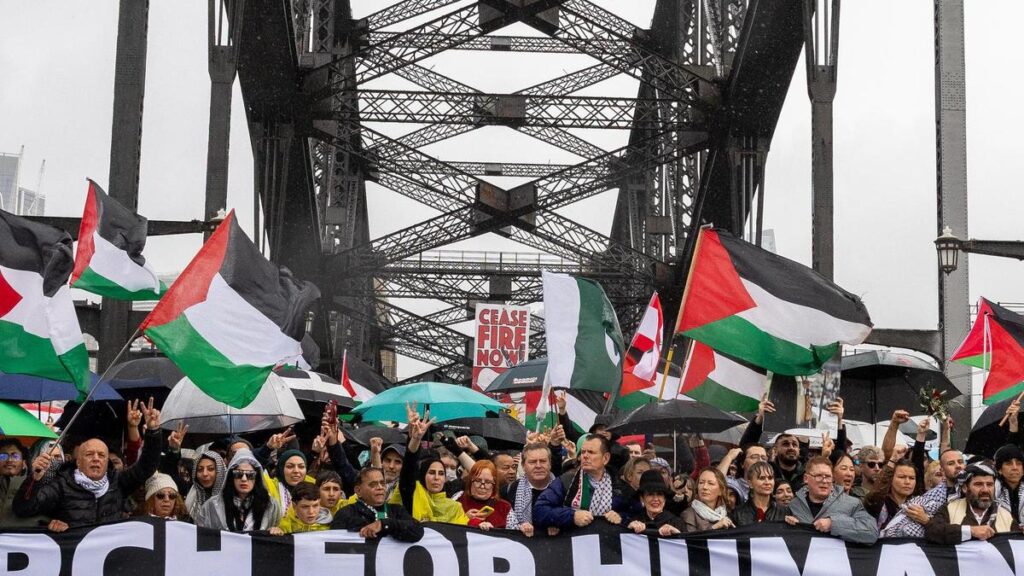 senior-mp-critiques-albanese-s-palestine-stance-offers-alternative
