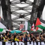 senior-mp-critiques-albanese-s-palestine-stance-offers-alternative