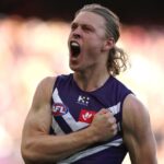 star-docker-returns-lions-face-critical-tipping-point