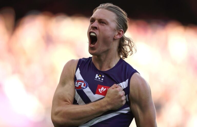 star-docker-returns-lions-face-critical-tipping-point