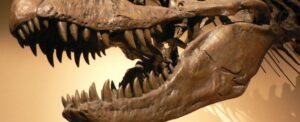 study-reveals-diverse-feeding-strategies-among-carnivorous-dinosaurs