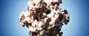 study-reveals-how-beta-hpv-drives-aggressive-skin-cancer