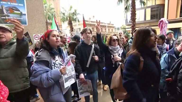 supreme-court-decision-imminent-on-sydney-harbour-bridge-protest