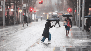 sydney-s-wild-weather-surge-wettest-august-in-27-years