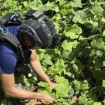 thailand-warns-of-self-defense-after-soldier-injured-by-mine