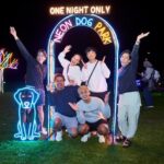 thomastown-transforms-for-magical-night-walk-this-saturday-
