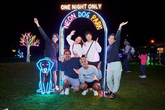 thomastown-transforms-for-magical-night-walk-this-saturday-