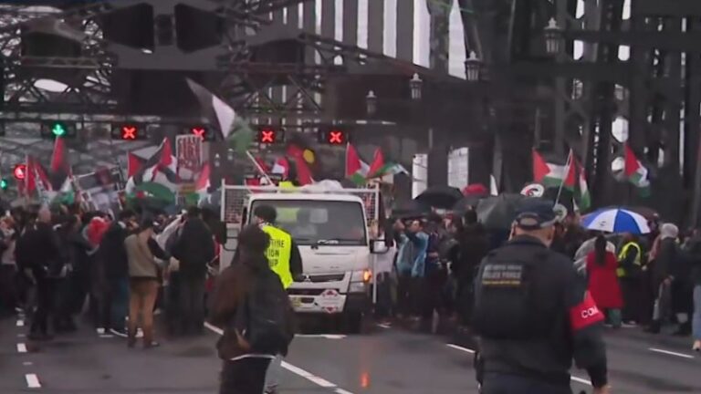 thousands-rally-on-sydney-harbour-bridge-for-pro-palestinian-march