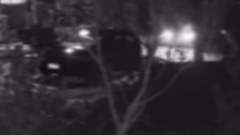 three-charged-after-man-stabbed-11-times-in-melbourne-home-invasion