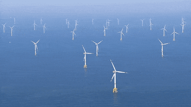 trump-halts-4-billion-wind-project-impacting-global-industry