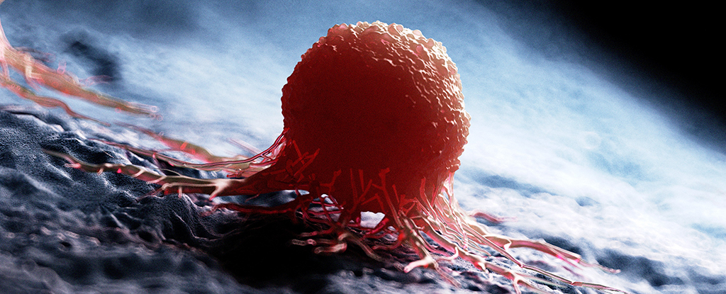 universal-cancer-vaccine-shows-promise-in-battling-resistant-tumors