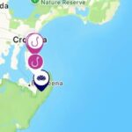 urgent-2-65m-white-shark-tagged-at-cronulla-amid-whale-link