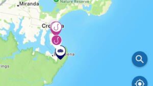 urgent-2-65m-white-shark-tagged-at-cronulla-amid-whale-link
