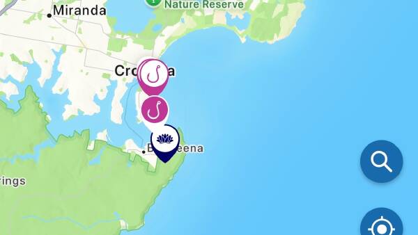 urgent-2-65m-white-shark-tagged-at-cronulla-amid-whale-link