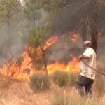urgent-alert-southern-europe-faces-wildfires-amid-soaring-heat