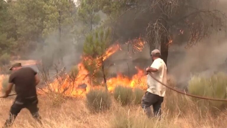 urgent-alert-southern-europe-faces-wildfires-amid-soaring-heat