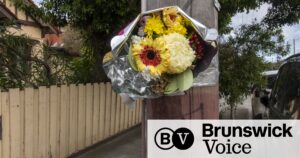 urgent-appeal-hit-and-run-driver-of-white-audi-suv-still-missing