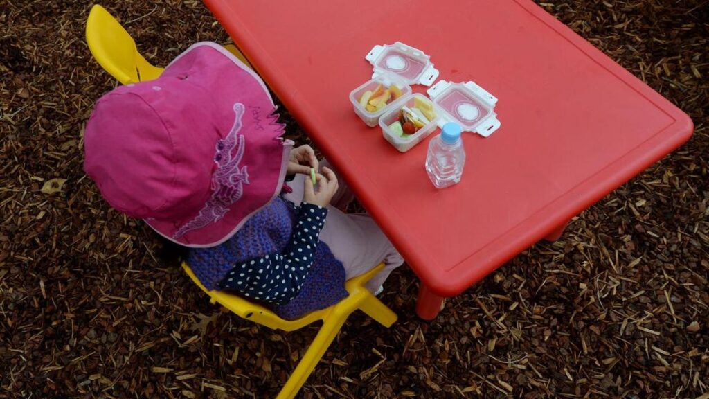 urgent-call-for-cultural-shift-to-combat-childcare-abuse-crisis