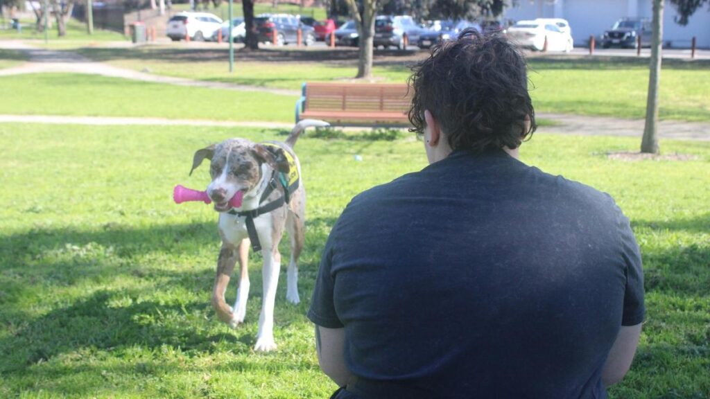 urgent-data-reveals-crisis-for-australia-s-young-homeless