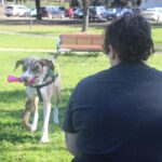 urgent-data-reveals-crisis-for-australia-s-young-homeless