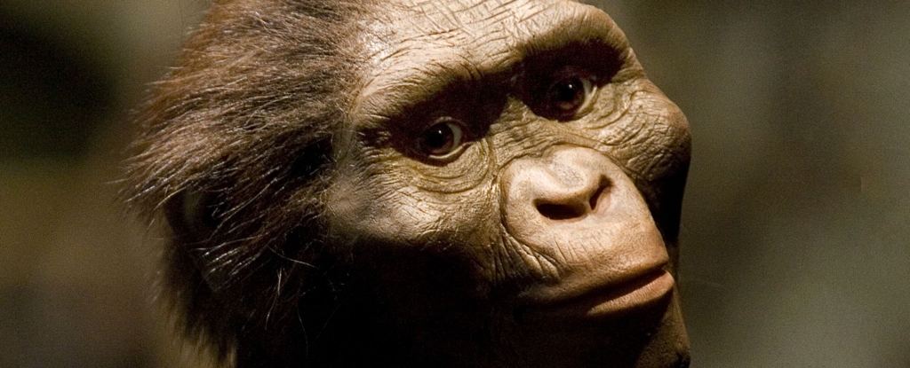 urgent-discovery-ancient-teeth-reveal-coexisting-hominin-species