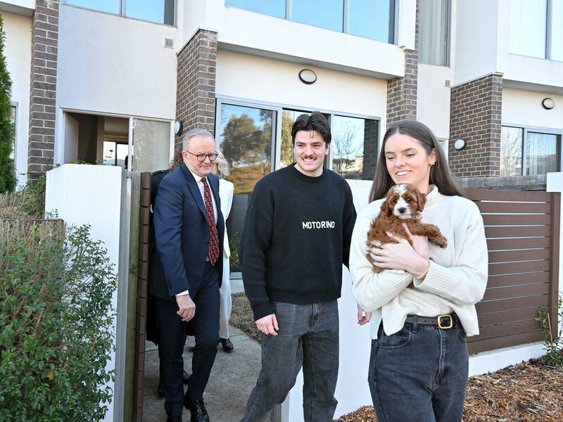 urgent-housing-deposit-scheme-fast-tracked-amid-bubble-warnings