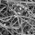 urgent-lancet-declares-plastic-a-threat-to-humanity-now