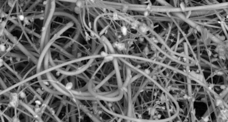 urgent-lancet-declares-plastic-a-threat-to-humanity-now