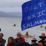 urgent-probe-launched-into-tasmania-salmon-industry-amid-disease