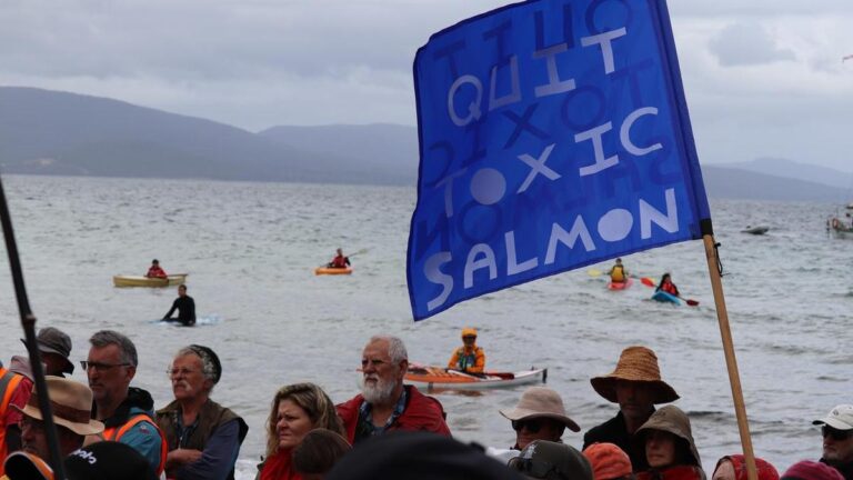 urgent-probe-launched-into-tasmania-salmon-industry-amid-disease