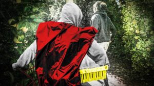 urgent-report-migrant-workers-face-exploitation-abortions-to-keep-visas
