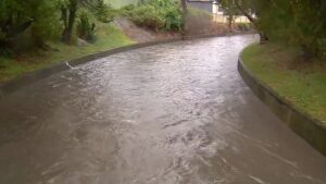 urgent-search-continues-for-tourist-swept-away-in-nsw-floods