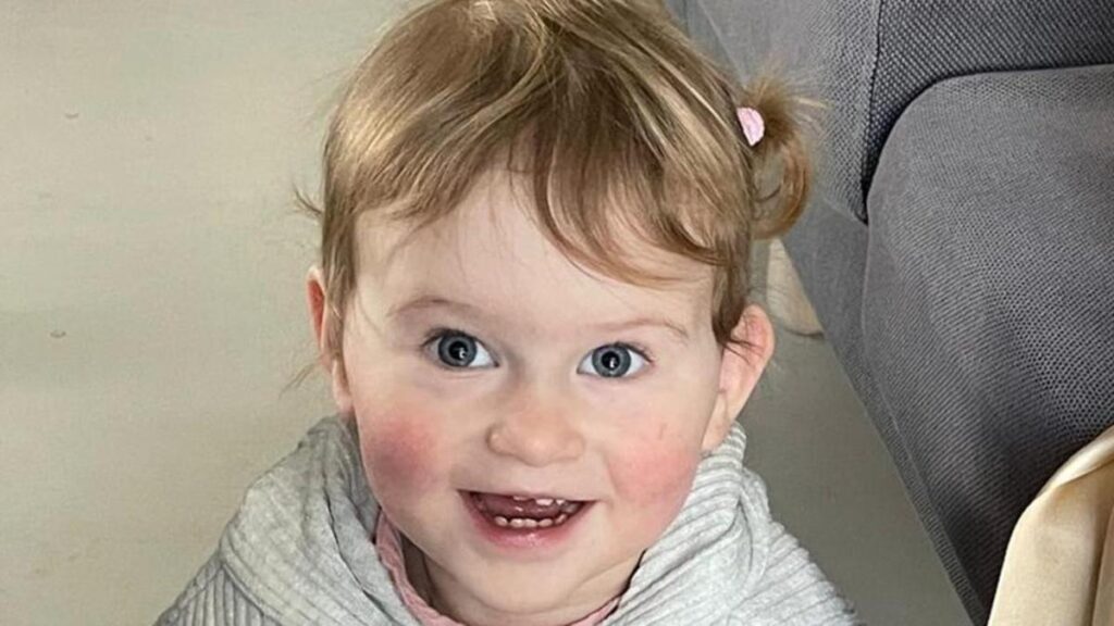 urgent-search-underway-for-missing-one-year-old-in-nsw