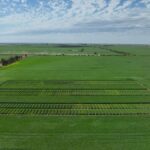 urgent-update-early-sowing-trials-launch-in-wheatbelt-region