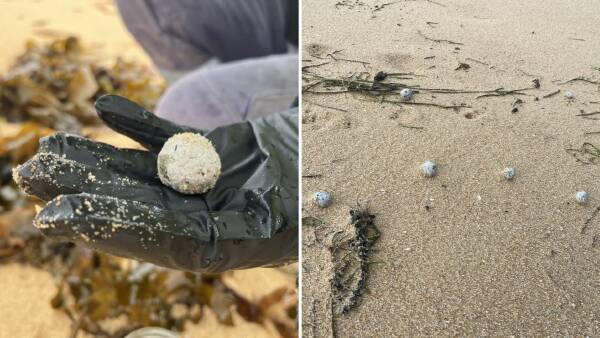 urgent-update-mystery-debris-balls-wash-up-on-central-coast-beaches