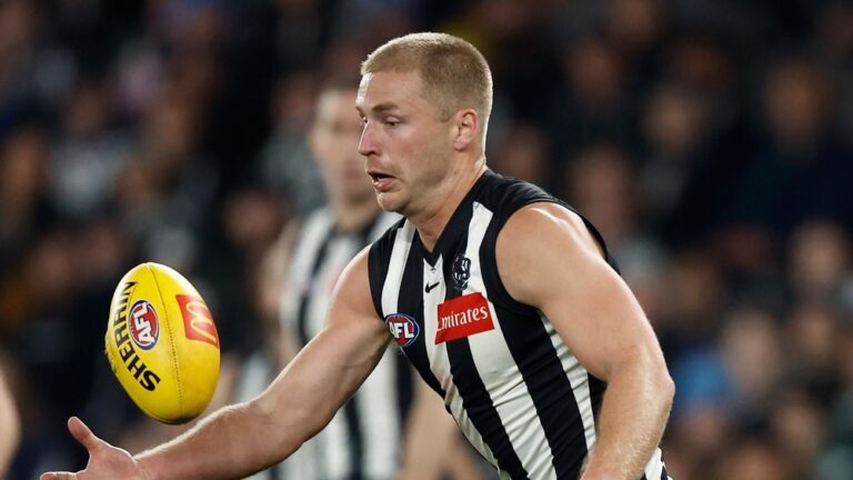 urgent-update-pies-defender-charged-for-striking-incident