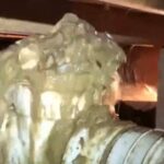 urgent-warning-sydney-water-reveals-shocking-toilet-flushing-risks