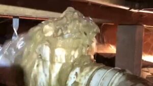 urgent-warning-sydney-water-reveals-shocking-toilet-flushing-risks