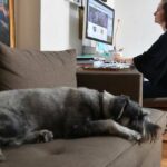 victoria-s-urgent-plan-to-enshrine-right-to-work-from-home