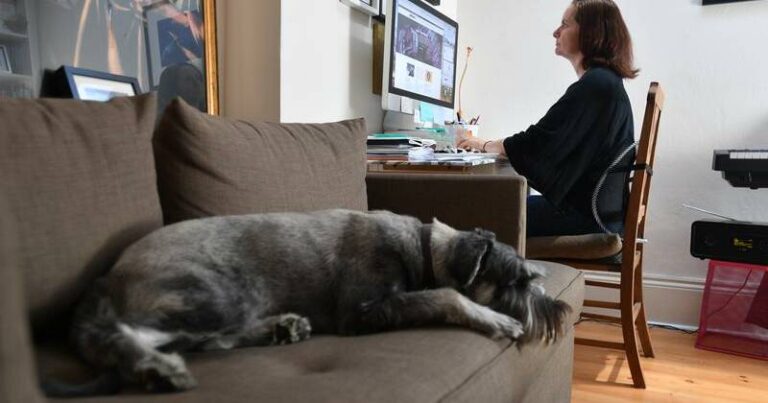 victoria-s-urgent-plan-to-enshrine-right-to-work-from-home