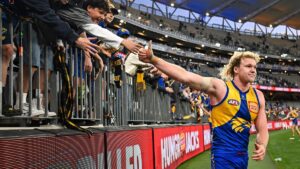 AFL 2025 Round 22 - West Coast v Adelaide