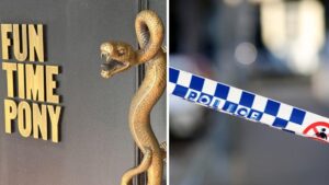 woman-arrested-after-discharging-pepper-spray-in-canberra-nightclub