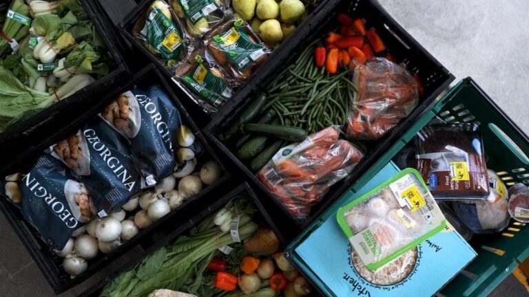 young-aussies-waste-1-500-in-food-annually-urgent-action-needed