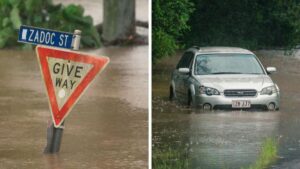 zali-steggall-unveils-urgent-climate-resilience-bill-amid-economic-threats